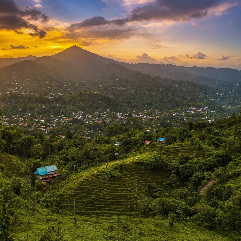 HONDURAN REGULATOR BANS BANKS FROM CONDUCTING TRANSACTIONS WITH CRYPTO ASSETS